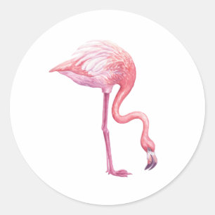 Flamingo Runt Klistermärke