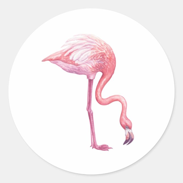 Flamingo Runt Klistermärke (Framsida)