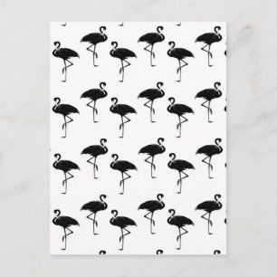 Flamingo Silhuetter Mönster Svart Vitt Vykort