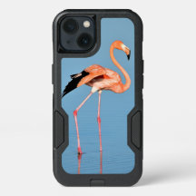 Flamingo Sjö Walk | Fåglar