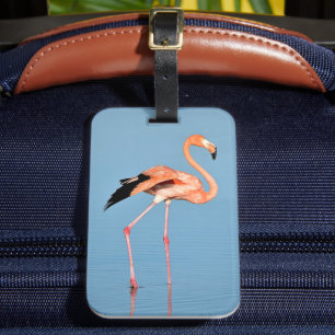 Flamingo Sjö Walk Fåglar Bagagebricka
