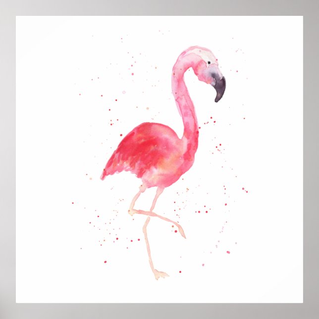 Flamingo Solo Skriv ut Poster (Framsidan)