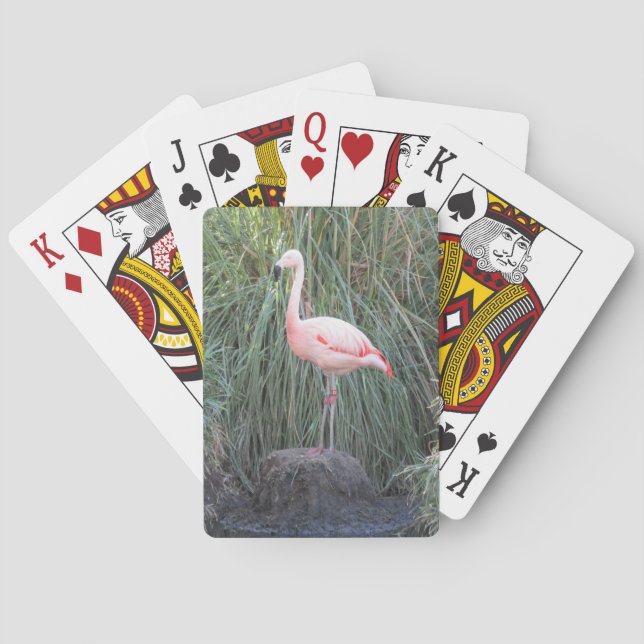 Flamingo Spel Kort (Baksidan)