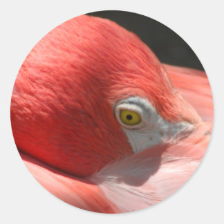 Flamingo Sticker Runt Klistermärke