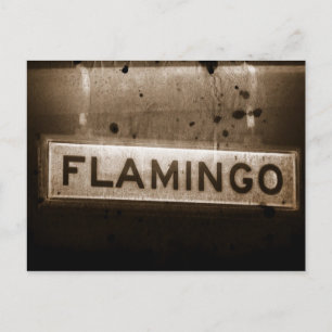Flamingo Street Las Vegas Postcard Vykort