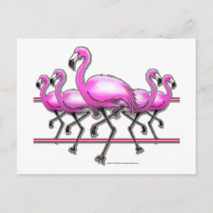 Flamingo Strip Vykort