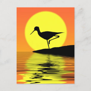 Flamingo Sunset-vykort Vykort
