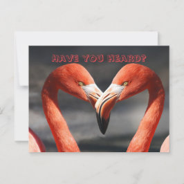 FLAMINGO TALK FÖRÄNDRING AV ADRESS-KORT VYKORT