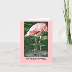Flamingo tänker på dig.. Kort
