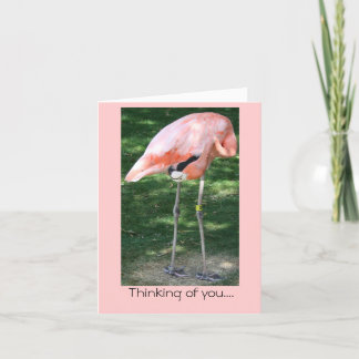 Flamingo tänker på dig.. Kort