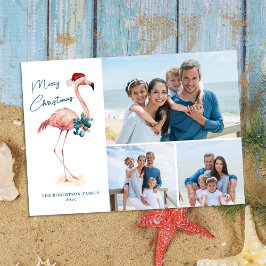 Flamingo Tropical Beach-julfoto Julkort