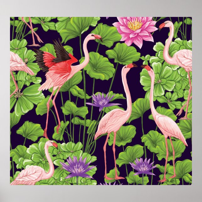 Flamingo, tropiska växter, svart bakgrund. poster (Framsidan)