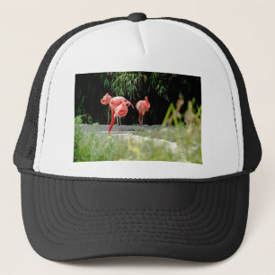 flamingo truckerkeps