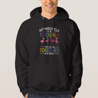 Flamingo Tydligen Är Vi Problem När Vi Är Tillsamm Hoodie