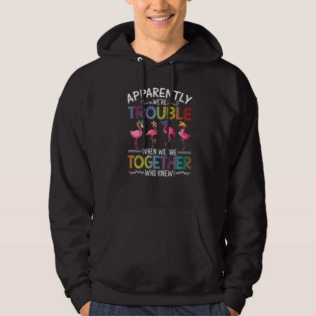 Flamingo Tydligen Är Vi Problem När Vi Är Tillsamm Hoodie (Framsida)