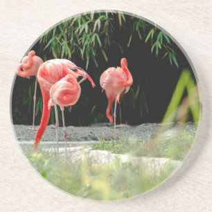 flamingo underlägg