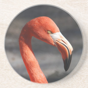Flamingo Underlägg Sandsten