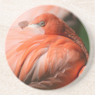 Flamingo Underlägg Sandsten