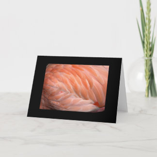 Flamingo upp nära hälsning kort