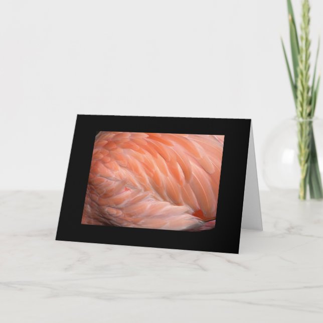 Flamingo upp nära hälsning kort (Framsida)