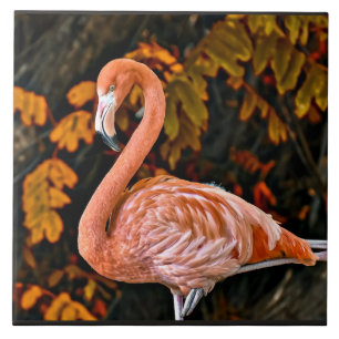 Flamingo, vacker fågelfågel kakelplatta