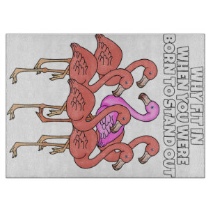 Flamingo varför när du var född att stå ut