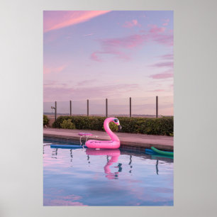 Flamingo vatten floater i simning bassäng poster