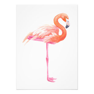 Flamingo, vattenfärg fototryck