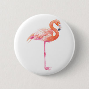 Flamingo, vattenfärg knapp