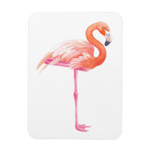 Flamingo, vattenfärg magnet