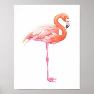 Flamingo, vattenfärg poster