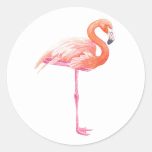 Flamingo, vattenfärg runt klistermärke