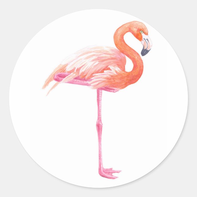 Flamingo, vattenfärg runt klistermärke (Framsida)