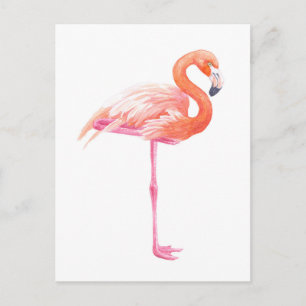Flamingo, vattenfärg vykort