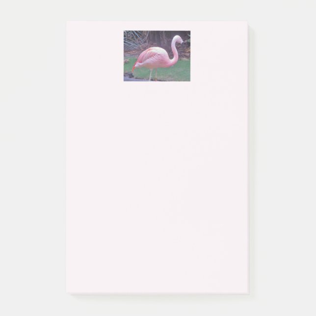 Flamingo Verkligen Rosa Post-it Block (Framsida)