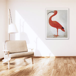 Flamingo - Vintage Fine Art Poster
