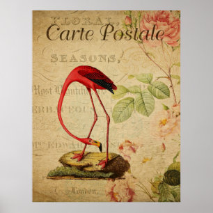Flamingo Vintage Fransk Postcard Poster