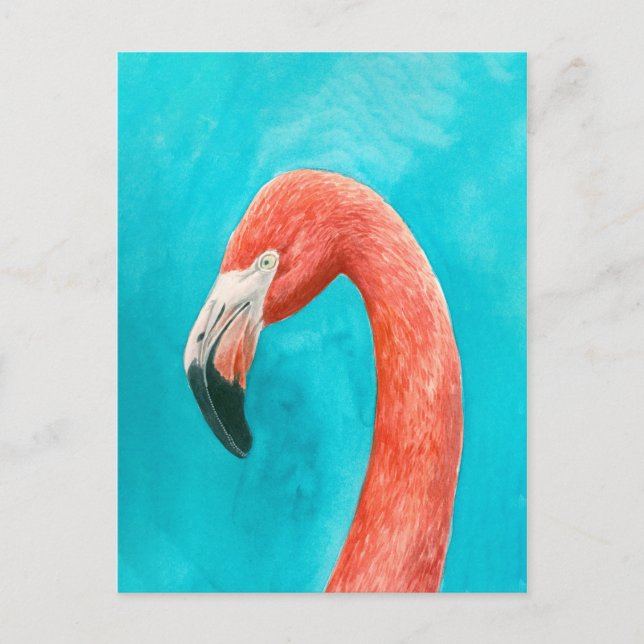 Flamingo Vykort (Framsida)