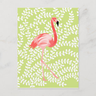 Flamingo Vykort