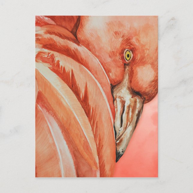 Flamingo Vykort (Framsida)