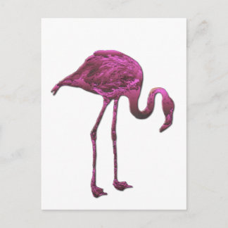 flamingo vykort