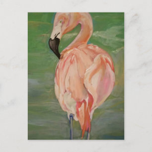 Flamingo Vykort