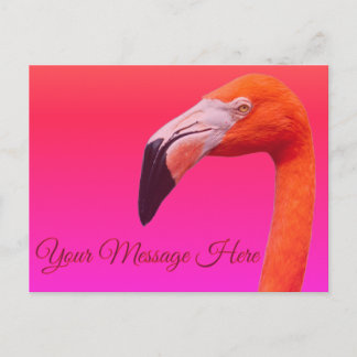 Flamingo vykort