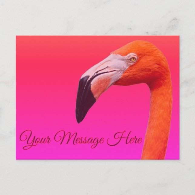Flamingo  vykort (Framsida)