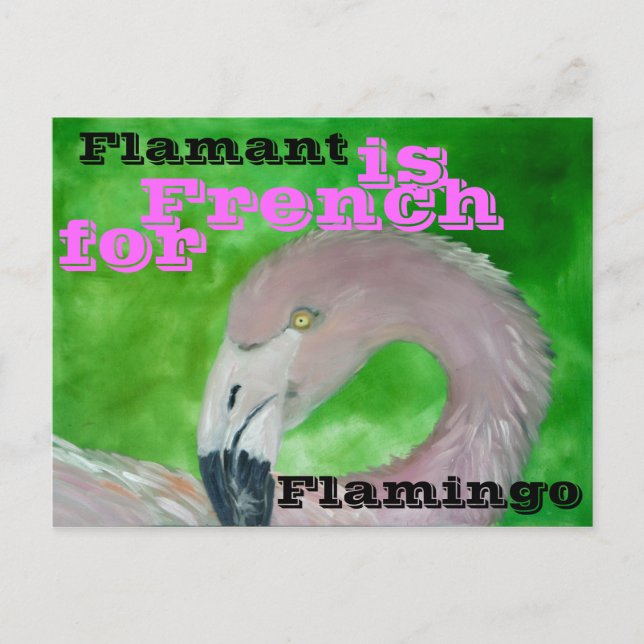 Flamingo-vykort Vykort (Framsida)