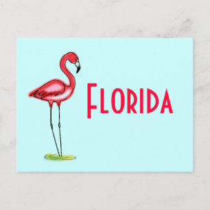 Flamingo-vykort Vykort