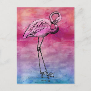 Flamingo Watercolor Vintage Rosa Flamingos Retro Vykort