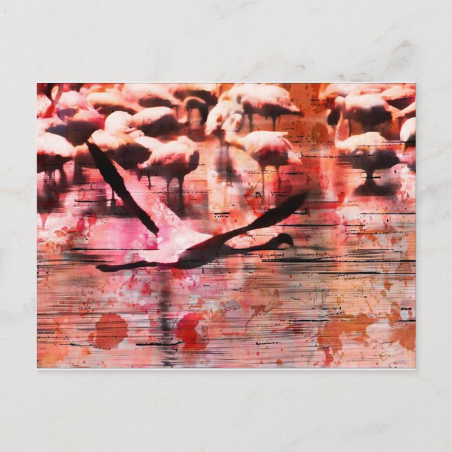 Flamingo Wisdom Vykort (Framsida)