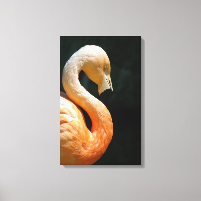 Flamingo Wrapped Canvas! Canvastryck (Framsida)