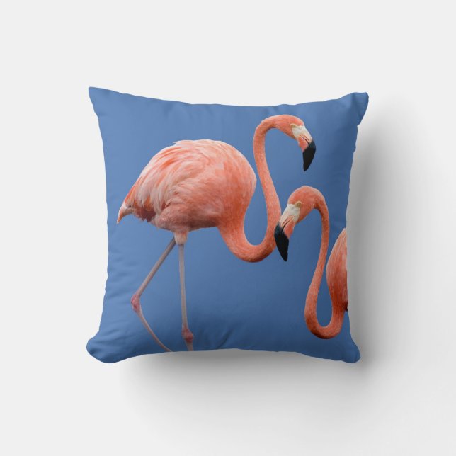Flamingoen kopplar ihop kudde (Framsida)